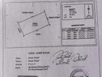 IMG-20250210-WA0058