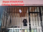 IMG-20250602-WA0003